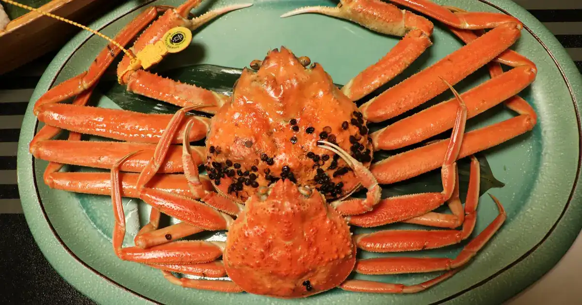 206 japan seafood donburi complete guide