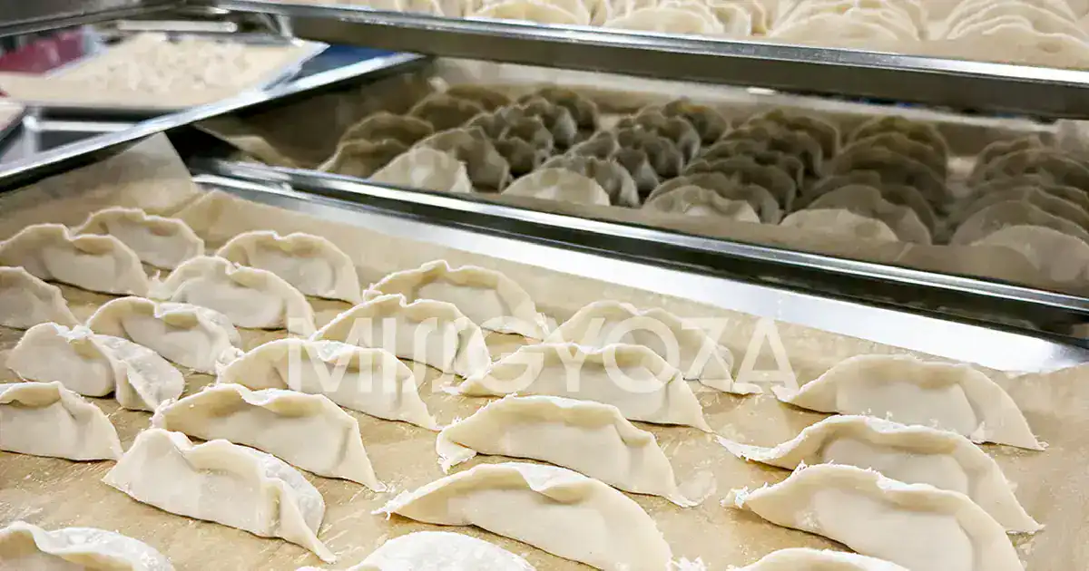 日本餃子完全攻略｜煎餃・鍋貼・水餃子名店推薦2026
