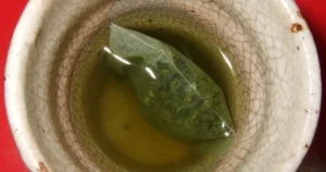 靜岡・富士山麓美食2026|茶・櫻花蝦・富士宮燒蕎麥麵完全指南
