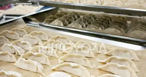 【2026】日本煎餃免預約就能吃的店10選｜煎餃・水餃・鍋貼比一比